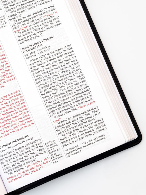 NIV Thinline Reference Bible Page